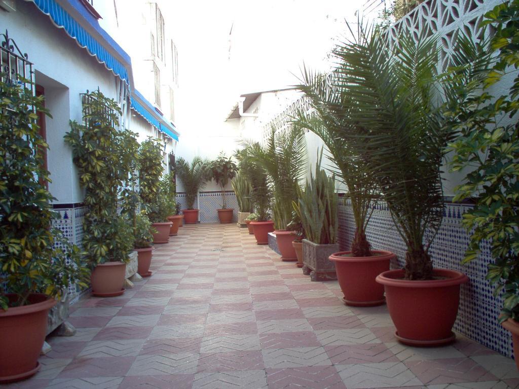 La Luna Marbella Exterior foto